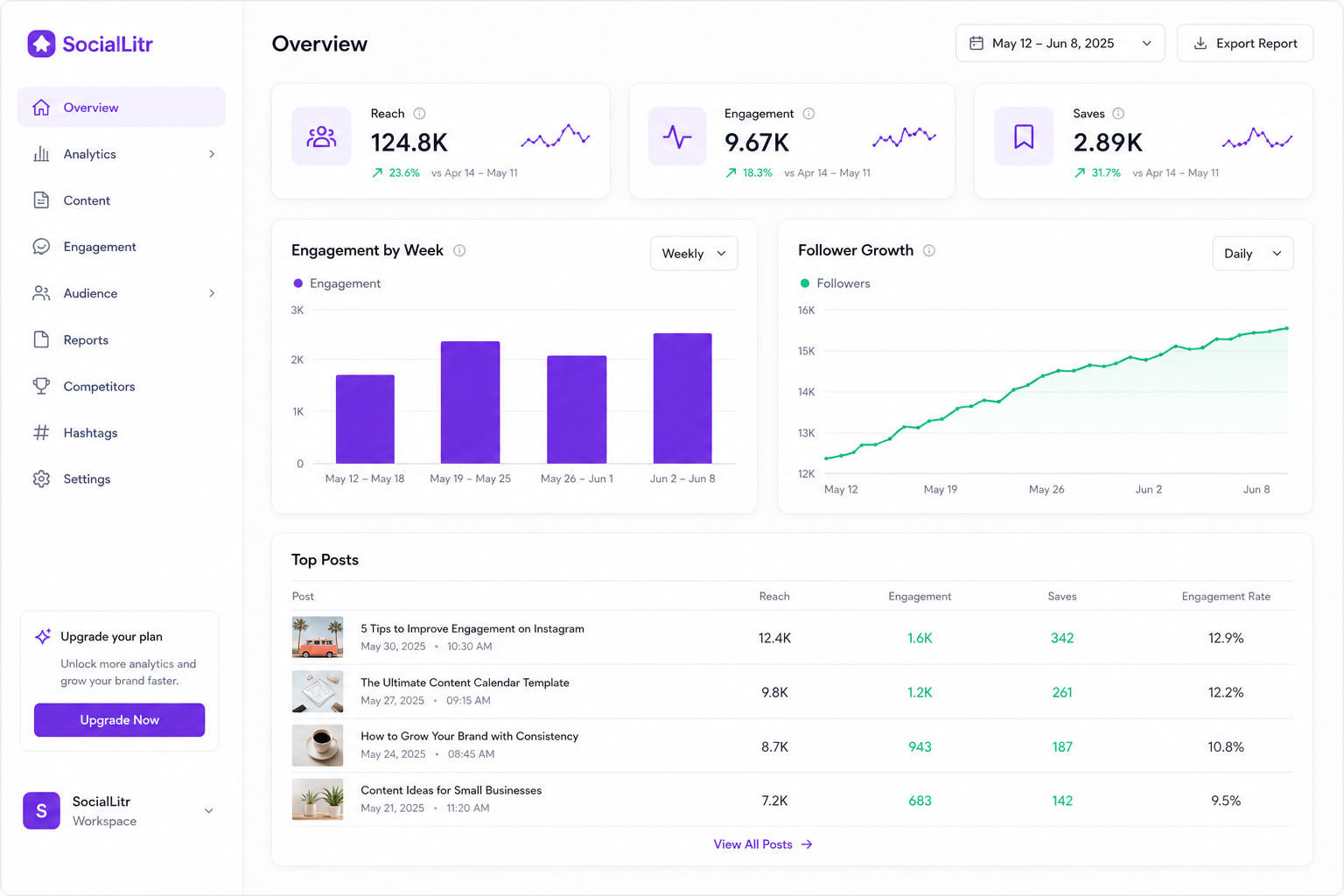 SocialLitr analytics dashboard with engagement charts and top posts